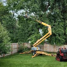 Best Leaf Removal  in Guntersville, AL