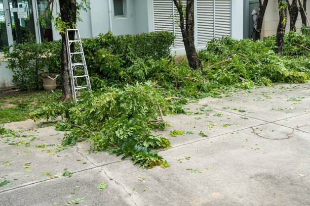 Best Arborist Consultation Services  in Guntersville, AL